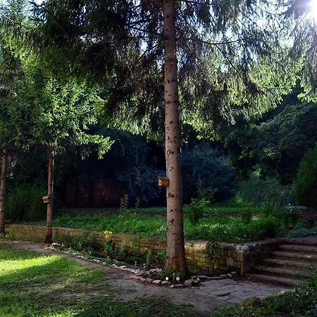 View On The Margaret Island Βουδαπέστη